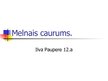 Presentations 'Melnais caurums', 1.