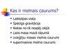 Presentations 'Melnais caurums', 3.