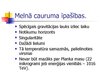 Presentations 'Melnais caurums', 5.