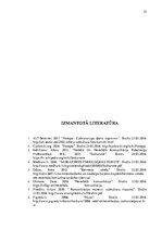 Research Papers 'Komunikācija jauniešu subkultūrā - rokeri', 27.