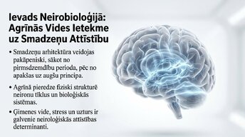Presentations 'Ievads neirobioloģijā: agrīnās vides ietekme uz smadzeņu attīstību', 1.
