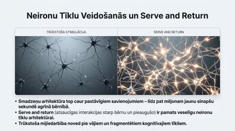 Presentations 'Ievads neirobioloģijā: agrīnās vides ietekme uz smadzeņu attīstību', 9.