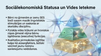 Presentations 'Ievads neirobioloģijā: agrīnās vides ietekme uz smadzeņu attīstību', 13.