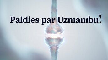 Presentations 'Ievads neirobioloģijā: agrīnās vides ietekme uz smadzeņu attīstību', 17.