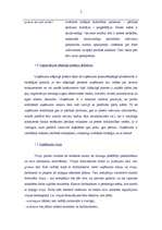 Research Papers 'Uzņēmuma A attīstības stratēģijas analīze', 5.