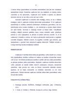 Research Papers 'Uzņēmuma A attīstības stratēģijas analīze', 9.