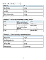 Business Plans 'Mobilā mājdzīvnieku kopšanas un suņu/kaķu frizēšanas pakalpojuma biznesa plāns R', 24.
