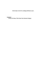 Essays 'Sabiedrisko attiecību stratēģijas Baltajā namā', 1.