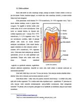 Research Papers 'Zobu higiēnista loma mutes dobuma veselības saglabāšanā', 7.