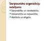 Presentations 'Starptautisko publisko tiesību subjekti', 17.