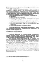 Term Papers 'Tirdzniecības uzņēmējdarbības problēmas un to risinājumi Balvu pilsētā', 16.