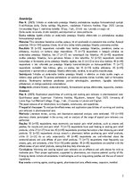 Term Papers 'Sildošo un atvēsinošo pretsāpju līdzekļu pielietošanas iespējas farmaceitiskajā ', 2.