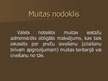 Presentations 'Muitas nodoklis', 3.