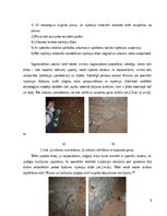 Research Papers 'Nesošo mūra sienu remonts', 9.