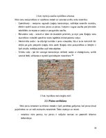 Research Papers 'Nesošo mūra sienu remonts', 10.