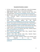 Research Papers 'Nesošo mūra sienu remonts', 17.