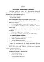 Research Papers 'Mākoņa programmas', 9.