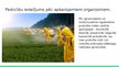 Presentations 'Vides piesārņojums ar pesticīdiem', 4.