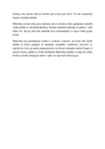 Essays 'Reformācijas izplatība un būtiskākie virzieni', 2.