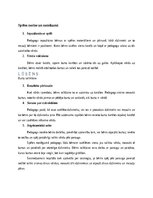 Summaries, Notes 'Didaktiskā spēle un rituāli pirmsskolas bērniem', 3.