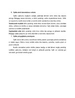 Summaries, Notes 'Didaktiskā spēle un rituāli pirmsskolas bērniem', 4.