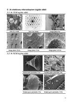 Research Papers 'Elektronu mikroskops', 11.