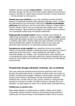 Summaries, Notes 'Maiju civilizācija: vēsture, kultūra, mitoloģija, sabiedrība un kultūras mantoju', 16.