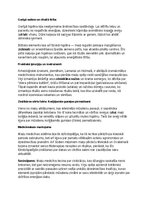 Summaries, Notes 'Maiju civilizācija: vēsture, kultūra, mitoloģija, sabiedrība un kultūras mantoju', 25.