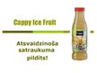 Presentations 'Cappy Ice Fruit piedāvātie produkti', 1.