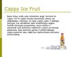 Presentations 'Cappy Ice Fruit piedāvātie produkti', 9.