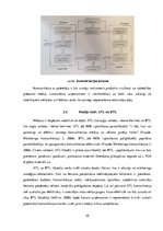 Research Papers 'Televīzijas reklāmas un auditorijas analītisko produktu salīdzinājums', 35.