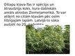Presentations 'Invazīvās sugas Latvijā', 3.