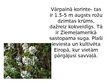 Presentations 'Invazīvās sugas Latvijā', 9.