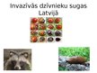 Presentations 'Invazīvās sugas Latvijā', 11.