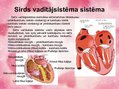 Presentations 'Sirds uzbūve', 10.
