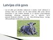 Presentations 'Lauksaimniecības dzīvnieki: govis, aitas', 9.