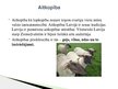 Presentations 'Lauksaimniecības dzīvnieki: govis, aitas', 10.