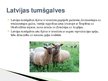Presentations 'Lauksaimniecības dzīvnieki: govis, aitas', 13.