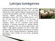 Presentations 'Lauksaimniecības dzīvnieki: govis, aitas', 15.