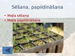 Presentations 'Meža atjaunošana un kopšana', 12.