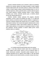 Research Papers 'Korporatīvā sociālā atbildība', 19.
