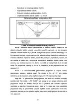Term Papers 'Grāmatvedības organizācija uzņēmumā, pielietojot datorizētās grāmatvedības metod', 17.