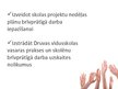 Presentations 'Brīvprātīgais darbs Saldus novadā', 5.