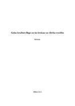 Research Papers 'Gaisa kvalitāte Rīgā un tā ietekme uz cilvēka veselību', 1.