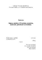 Research Papers 'Rajonu (pilsētu) VP iestādes struktūra, uzdevumi, pienākumi un tiesības', 1.