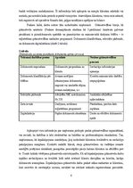 Practice Reports 'Grāmatvedības prakses atskaite', 6.