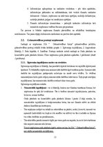 Practice Reports 'Grāmatvedības prakses atskaite', 13.