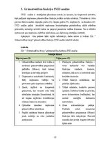 Practice Reports 'Grāmatvedības prakses atskaite', 23.