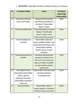 Practice Reports 'Grāmatvedības prakses atskaite', 34.