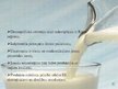 Presentations '"Lāse" produktu tirgus izstrāde Rīgas piena kombinātā', 7.